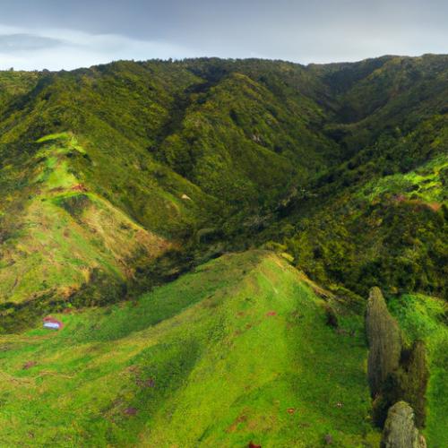 What Hidden Gems Can I Uncover Northeast of Wellington?